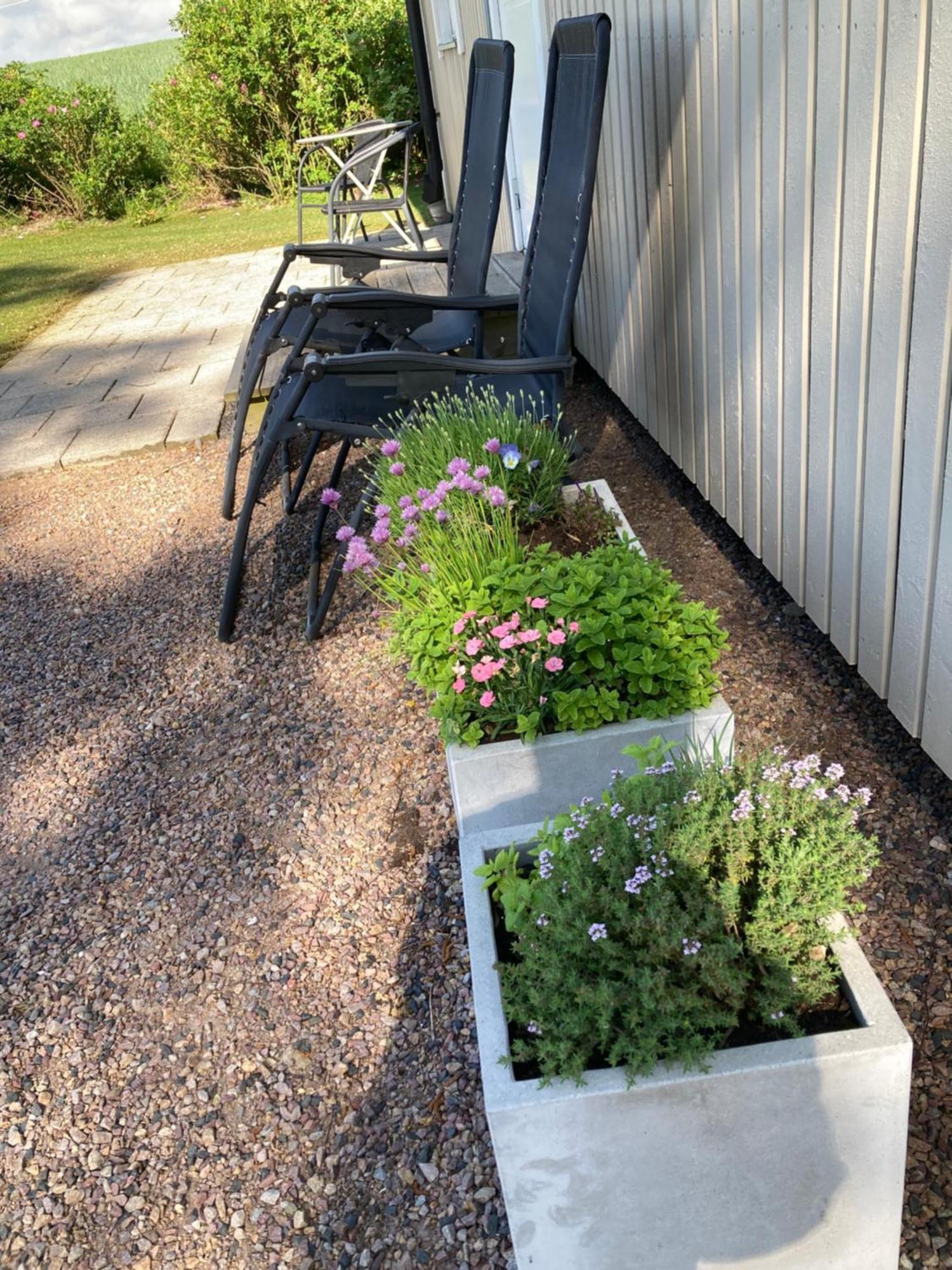 Slimmingegarden 1019 Skurup Exterior foto